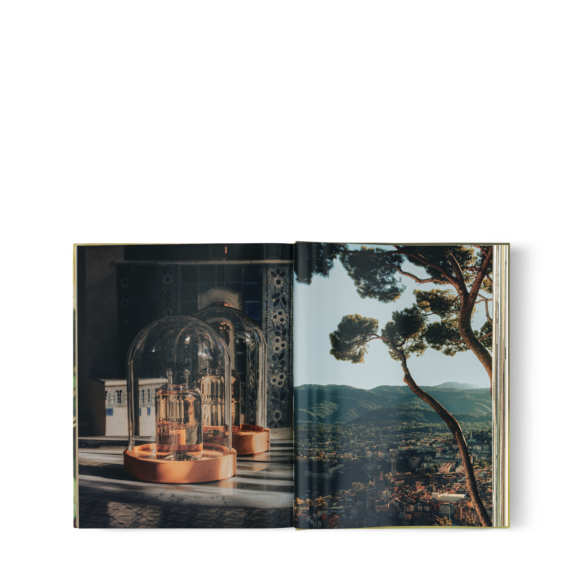 Hard Cover Books - Coffee Table Books, Catalogs | LOUIS VUITTON ®